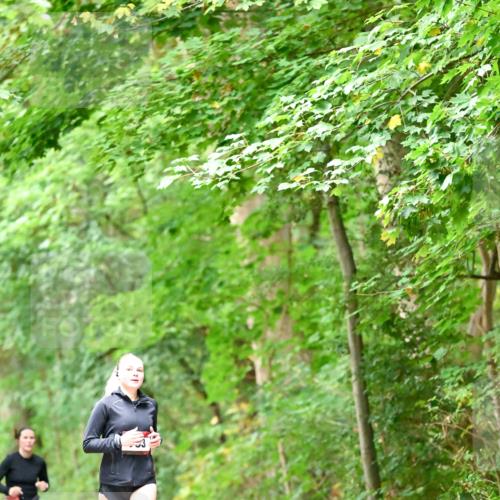 11.10.2026 - Bramfelder Halbmarathon 2026 Dr. Thomas Lammeyer http://msf.ph/oto/10825411 11.10.2026 10:49:54 Laufen  meine-sportfotos.de