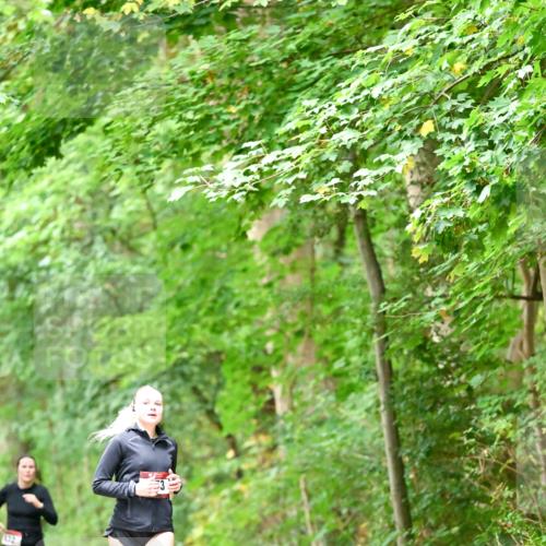 11.10.2026 - Bramfelder Halbmarathon 2026 Dr. Thomas Lammeyer http://msf.ph/oto/10825412 11.10.2026 10:49:54 Laufen  meine-sportfotos.de