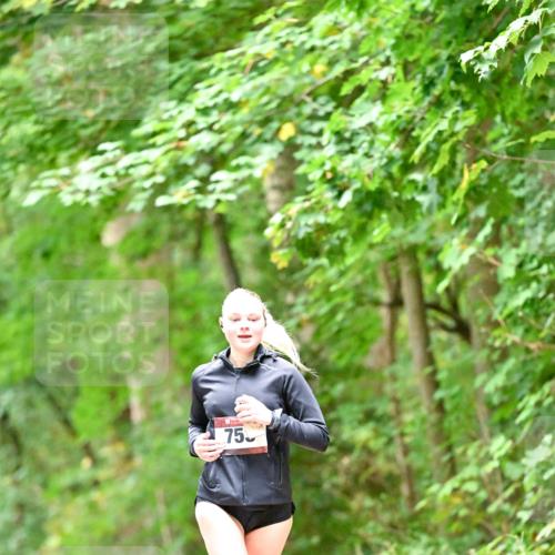 11.10.2026 - Bramfelder Halbmarathon 2026 Dr. Thomas Lammeyer http://msf.ph/oto/10825429 11.10.2026 10:49:56 Laufen 750 meine-sportfotos.de