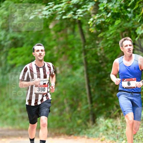 11.10.2026 - Bramfelder Halbmarathon 2026 Dr. Thomas Lammeyer http://msf.ph/oto/10825462 11.10.2026 10:50:07 Laufen 390, 6 meine-sportfotos.de