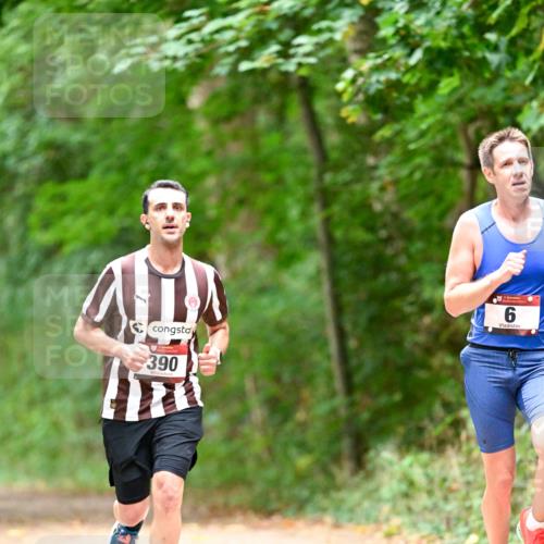 11.10.2026 - Bramfelder Halbmarathon 2026 Dr. Thomas Lammeyer http://msf.ph/oto/10825463 11.10.2026 10:50:07 Laufen 390, 6 meine-sportfotos.de