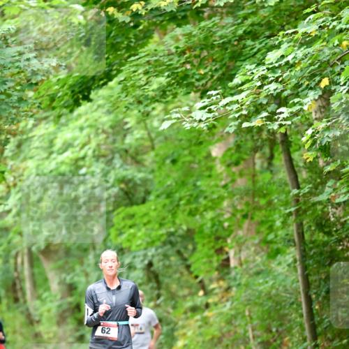 11.10.2026 - Bramfelder Halbmarathon 2026 Dr. Thomas Lammeyer http://msf.ph/oto/10825491 11.10.2026 10:50:14 Laufen 62 meine-sportfotos.de