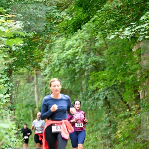 11.10.2026 - Bramfelder Halbmarathon 2026 Dr. Thomas Lammeyer http://msf.ph/oto/10825528 11.10.2026 10:50:23 Laufen 374, 83 meine-sportfotos.de