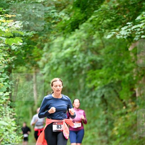 11.10.2026 - Bramfelder Halbmarathon 2026 Dr. Thomas Lammeyer http://msf.ph/oto/10825529 11.10.2026 10:50:23 Laufen 83 meine-sportfotos.de