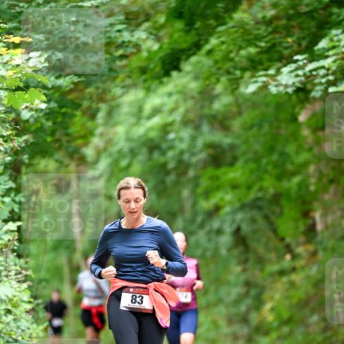 11.10.2026 - Bramfelder Halbmarathon 2026 Dr. Thomas Lammeyer http://msf.ph/oto/10825532 11.10.2026 10:50:23 Laufen 83 meine-sportfotos.de