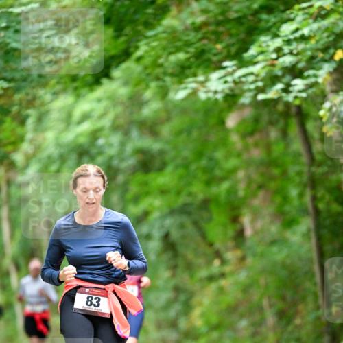 11.10.2026 - Bramfelder Halbmarathon 2026 Dr. Thomas Lammeyer http://msf.ph/oto/10825538 11.10.2026 10:50:24 Laufen 83 meine-sportfotos.de