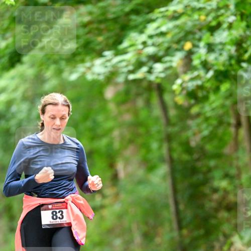 11.10.2026 - Bramfelder Halbmarathon 2026 Dr. Thomas Lammeyer http://msf.ph/oto/10825546 11.10.2026 10:50:25 Laufen 35, 83 meine-sportfotos.de