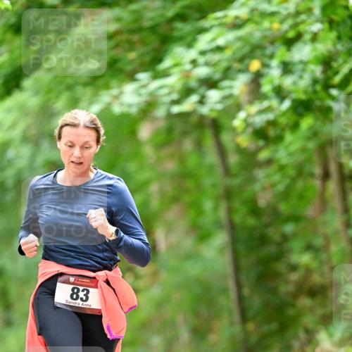 11.10.2026 - Bramfelder Halbmarathon 2026 Dr. Thomas Lammeyer http://msf.ph/oto/10825548 11.10.2026 10:50:25 Laufen 83 meine-sportfotos.de