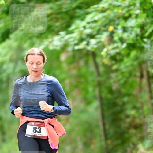 11.10.2026 - Bramfelder Halbmarathon 2026 Dr. Thomas Lammeyer http://msf.ph/oto/10825549 11.10.2026 10:50:25 Laufen 83 meine-sportfotos.de