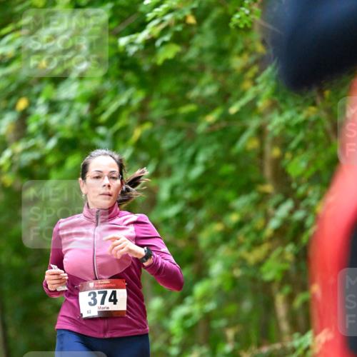 11.10.2026 - Bramfelder Halbmarathon 2026 Dr. Thomas Lammeyer http://msf.ph/oto/10825555 11.10.2026 10:50:29 Laufen 35, 374, 82 meine-sportfotos.de
