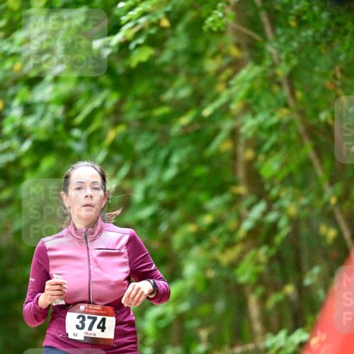 11.10.2026 - Bramfelder Halbmarathon 2026 Dr. Thomas Lammeyer http://msf.ph/oto/10825556 11.10.2026 10:50:29 Laufen 5, 374, 82 meine-sportfotos.de