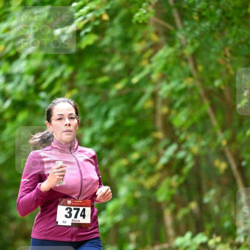 11.10.2026 - Bramfelder Halbmarathon 2026 Dr. Thomas Lammeyer http://msf.ph/oto/10825557 11.10.2026 10:50:29 Laufen 82, 35, 374 meine-sportfotos.de