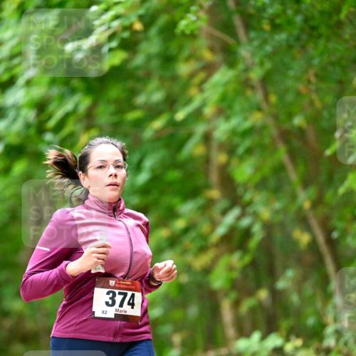 11.10.2026 - Bramfelder Halbmarathon 2026 Dr. Thomas Lammeyer http://msf.ph/oto/10825558 11.10.2026 10:50:29 Laufen 82, 35, 374 meine-sportfotos.de