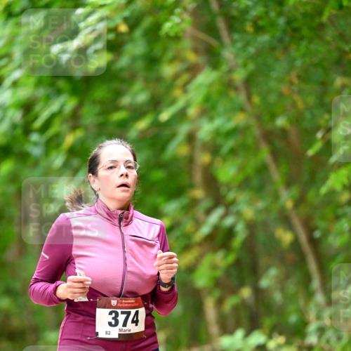 11.10.2026 - Bramfelder Halbmarathon 2026 Dr. Thomas Lammeyer http://msf.ph/oto/10825559 11.10.2026 10:50:29 Laufen 35, 374, 82 meine-sportfotos.de