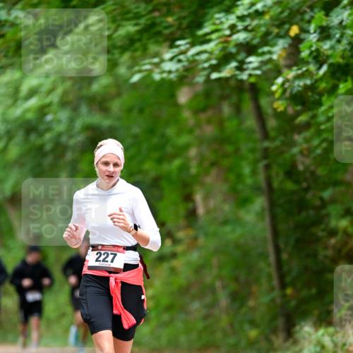 11.10.2026 - Bramfelder Halbmarathon 2026 Dr. Thomas Lammeyer http://msf.ph/oto/10825566 11.10.2026 10:50:31 Laufen 227 meine-sportfotos.de
