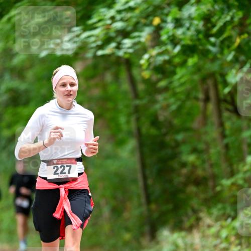 11.10.2026 - Bramfelder Halbmarathon 2026 Dr. Thomas Lammeyer http://msf.ph/oto/10825573 11.10.2026 10:50:32 Laufen 35, 227 meine-sportfotos.de