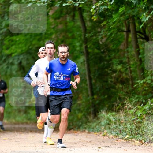 11.10.2026 - Bramfelder Halbmarathon 2026 Dr. Thomas Lammeyer http://msf.ph/oto/10825641 11.10.2026 10:50:48 Laufen  meine-sportfotos.de