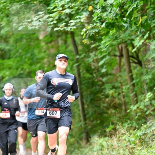 11.10.2026 - Bramfelder Halbmarathon 2026 Dr. Thomas Lammeyer http://msf.ph/oto/10825746 11.10.2026 10:51:20 Laufen 114, 607 meine-sportfotos.de