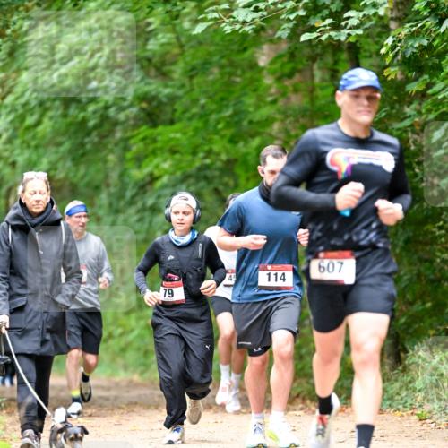 11.10.2026 - Bramfelder Halbmarathon 2026 Dr. Thomas Lammeyer http://msf.ph/oto/10825748 11.10.2026 10:51:20 Laufen 607, 45, 114, 79 meine-sportfotos.de