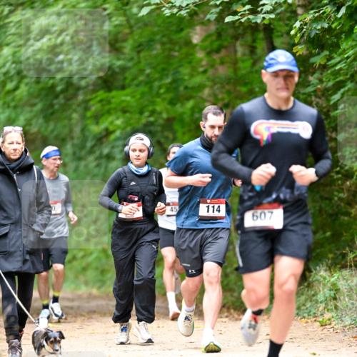 11.10.2026 - Bramfelder Halbmarathon 2026 Dr. Thomas Lammeyer http://msf.ph/oto/10825749 11.10.2026 10:51:21 Laufen 0, 45, 114, 607, 3 meine-sportfotos.de