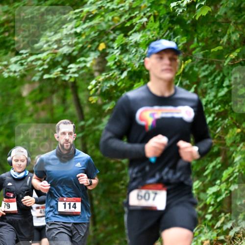 11.10.2026 - Bramfelder Halbmarathon 2026 Dr. Thomas Lammeyer http://msf.ph/oto/10825755 11.10.2026 10:51:22 Laufen 79, 114, 607 meine-sportfotos.de