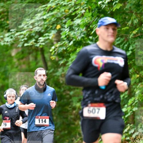 11.10.2026 - Bramfelder Halbmarathon 2026 Dr. Thomas Lammeyer http://msf.ph/oto/10825756 11.10.2026 10:51:22 Laufen 79, 114, 607 meine-sportfotos.de