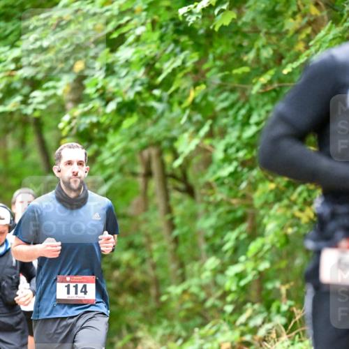 11.10.2026 - Bramfelder Halbmarathon 2026 Dr. Thomas Lammeyer http://msf.ph/oto/10825761 11.10.2026 10:51:23 Laufen 114 meine-sportfotos.de
