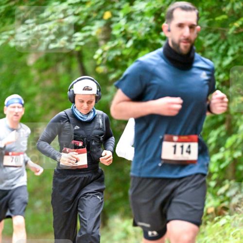 11.10.2026 - Bramfelder Halbmarathon 2026 Dr. Thomas Lammeyer http://msf.ph/oto/10825767 11.10.2026 10:51:24 Laufen 70, 114 meine-sportfotos.de