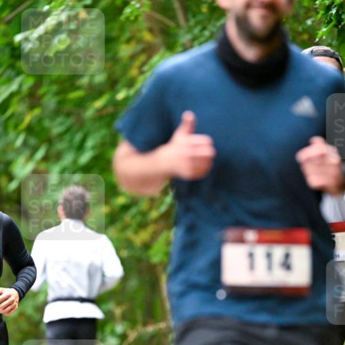 11.10.2026 - Bramfelder Halbmarathon 2026 Dr. Thomas Lammeyer http://msf.ph/oto/10825776 11.10.2026 10:51:25 Laufen 114, 16 meine-sportfotos.de