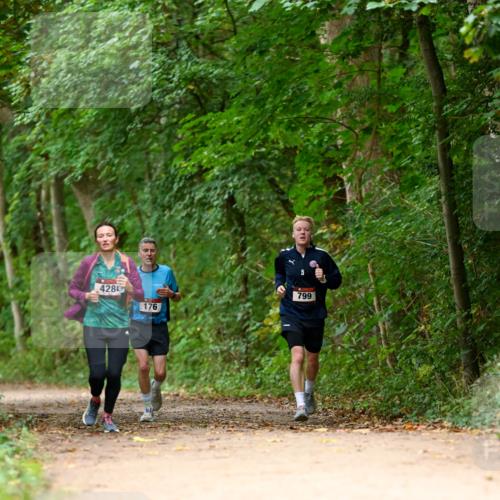 11.10.2026 - Bramfelder Halbmarathon 2026 Dr. Thomas Lammeyer http://msf.ph/oto/10825869 11.10.2026 10:51:59 Laufen 5, 4280, 799, 176 meine-sportfotos.de