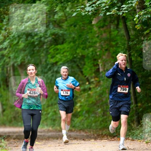 11.10.2026 - Bramfelder Halbmarathon 2026 Dr. Thomas Lammeyer http://msf.ph/oto/10825875 11.10.2026 10:52:02 Laufen 428, 176, 5, 799 meine-sportfotos.de