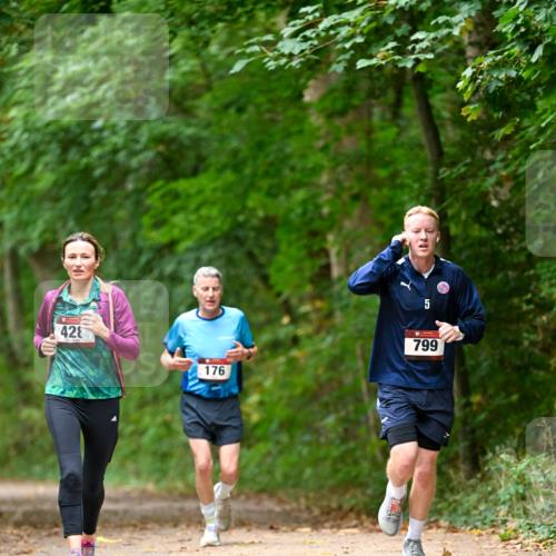 11.10.2026 - Bramfelder Halbmarathon 2026 Dr. Thomas Lammeyer http://msf.ph/oto/10825876 11.10.2026 10:52:02 Laufen 428, 176, 5, 799 meine-sportfotos.de