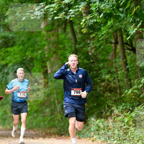 11.10.2026 - Bramfelder Halbmarathon 2026 Dr. Thomas Lammeyer http://msf.ph/oto/10825878 11.10.2026 10:52:02 Laufen 799, 176 meine-sportfotos.de