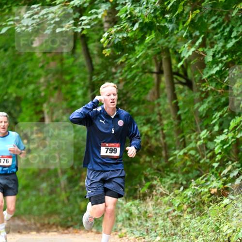 11.10.2026 - Bramfelder Halbmarathon 2026 Dr. Thomas Lammeyer http://msf.ph/oto/10825881 11.10.2026 10:52:03 Laufen 176, 799 meine-sportfotos.de