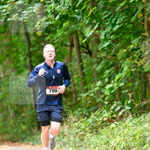 11.10.2026 - Bramfelder Halbmarathon 2026 Dr. Thomas Lammeyer http://msf.ph/oto/10825884 11.10.2026 10:52:03 Laufen 5, 799 meine-sportfotos.de