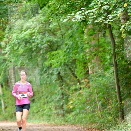 11.10.2026 - Bramfelder Halbmarathon 2026 Dr. Thomas Lammeyer http://msf.ph/oto/10825905 11.10.2026 10:52:12 Laufen 44 meine-sportfotos.de