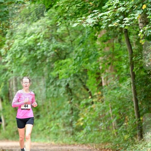 11.10.2026 - Bramfelder Halbmarathon 2026 Dr. Thomas Lammeyer http://msf.ph/oto/10825909 11.10.2026 10:52:13 Laufen 44 meine-sportfotos.de