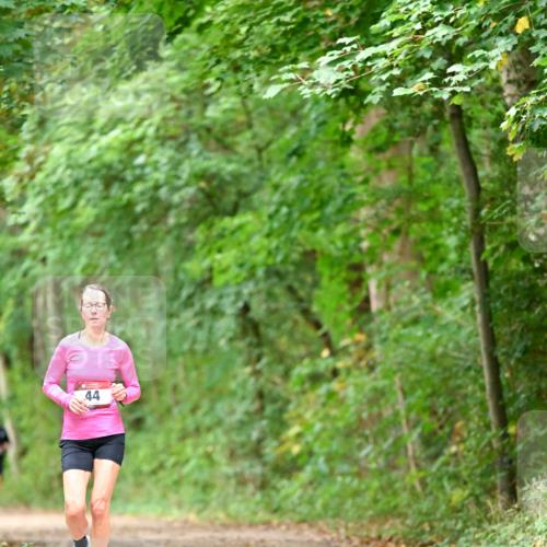 11.10.2026 - Bramfelder Halbmarathon 2026 Dr. Thomas Lammeyer http://msf.ph/oto/10825910 11.10.2026 10:52:13 Laufen 44 meine-sportfotos.de
