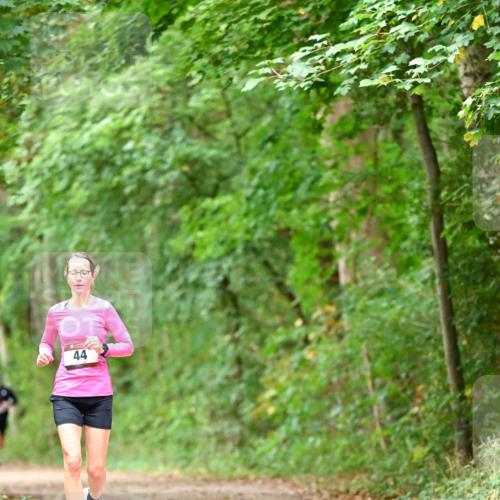 11.10.2026 - Bramfelder Halbmarathon 2026 Dr. Thomas Lammeyer http://msf.ph/oto/10825912 11.10.2026 10:52:13 Laufen 44 meine-sportfotos.de