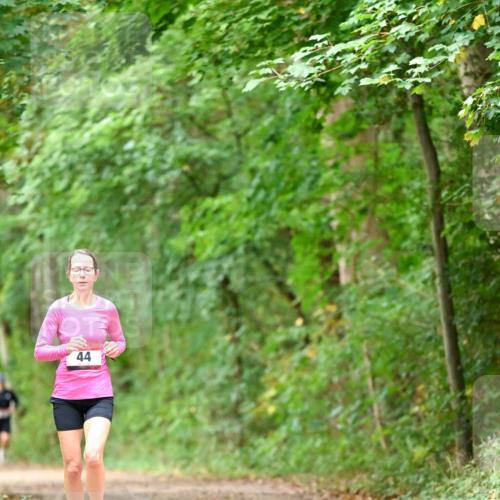 11.10.2026 - Bramfelder Halbmarathon 2026 Dr. Thomas Lammeyer http://msf.ph/oto/10825913 11.10.2026 10:52:13 Laufen 44 meine-sportfotos.de