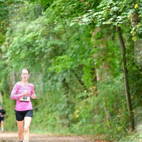 11.10.2026 - Bramfelder Halbmarathon 2026 Dr. Thomas Lammeyer http://msf.ph/oto/10825914 11.10.2026 10:52:14 Laufen 44 meine-sportfotos.de
