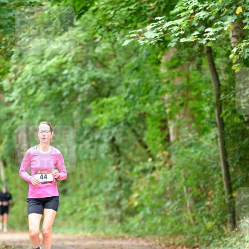 11.10.2026 - Bramfelder Halbmarathon 2026 Dr. Thomas Lammeyer http://msf.ph/oto/10825915 11.10.2026 10:52:14 Laufen 44 meine-sportfotos.de