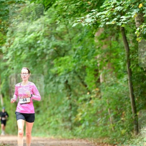 11.10.2026 - Bramfelder Halbmarathon 2026 Dr. Thomas Lammeyer http://msf.ph/oto/10825916 11.10.2026 10:52:14 Laufen 44 meine-sportfotos.de