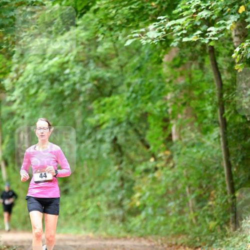 11.10.2026 - Bramfelder Halbmarathon 2026 Dr. Thomas Lammeyer http://msf.ph/oto/10825917 11.10.2026 10:52:14 Laufen 44 meine-sportfotos.de