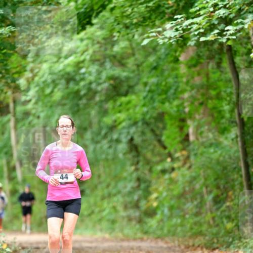 11.10.2026 - Bramfelder Halbmarathon 2026 Dr. Thomas Lammeyer http://msf.ph/oto/10825920 11.10.2026 10:52:14 Laufen 44 meine-sportfotos.de