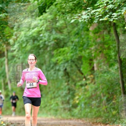 11.10.2026 - Bramfelder Halbmarathon 2026 Dr. Thomas Lammeyer http://msf.ph/oto/10825921 11.10.2026 10:52:14 Laufen 44 meine-sportfotos.de
