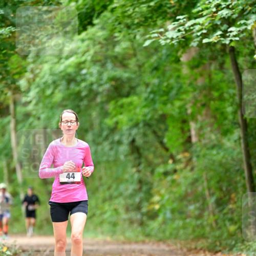 11.10.2026 - Bramfelder Halbmarathon 2026 Dr. Thomas Lammeyer http://msf.ph/oto/10825923 11.10.2026 10:52:15 Laufen 44 meine-sportfotos.de