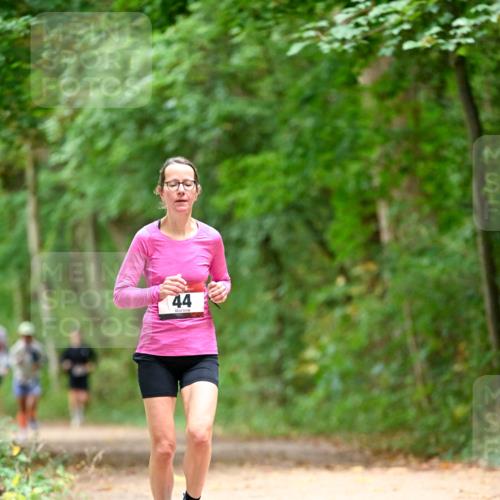 11.10.2026 - Bramfelder Halbmarathon 2026 Dr. Thomas Lammeyer http://msf.ph/oto/10825924 11.10.2026 10:52:15 Laufen 44 meine-sportfotos.de
