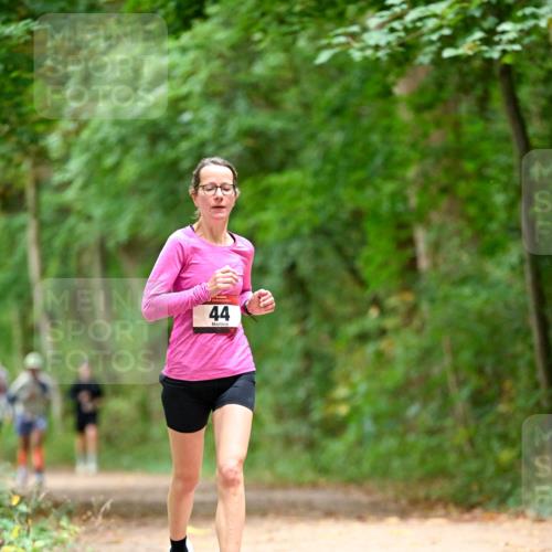 11.10.2026 - Bramfelder Halbmarathon 2026 Dr. Thomas Lammeyer http://msf.ph/oto/10825925 11.10.2026 10:52:15 Laufen 44 meine-sportfotos.de