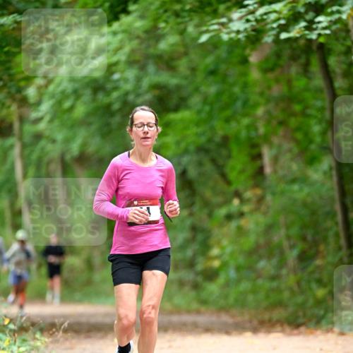 11.10.2026 - Bramfelder Halbmarathon 2026 Dr. Thomas Lammeyer http://msf.ph/oto/10825926 11.10.2026 10:52:16 Laufen  meine-sportfotos.de